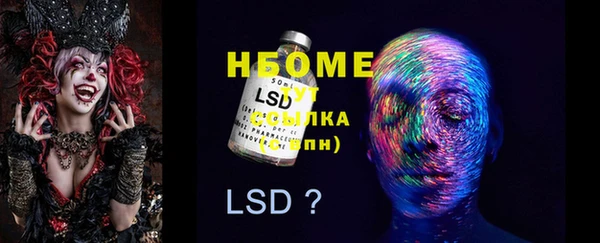 ECSTASY Алзамай