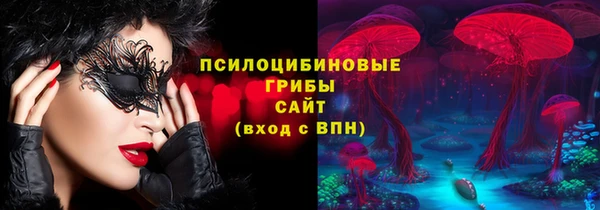 ECSTASY Алзамай