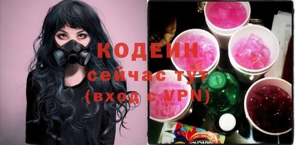 ECSTASY Алзамай